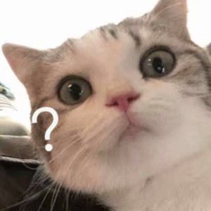 在线观看视频操死我了17c
