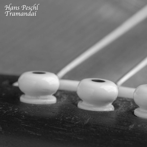 娇妻扩张拳交TXT
