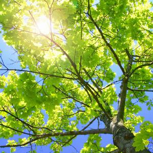 学生与老师高潮毛片
