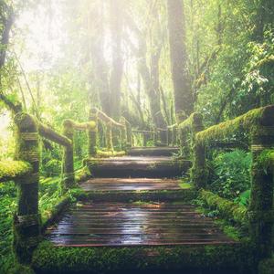 狂野少女免费完整版电影在线播放
